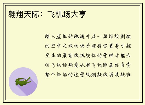 翱翔天际：飞机场大亨